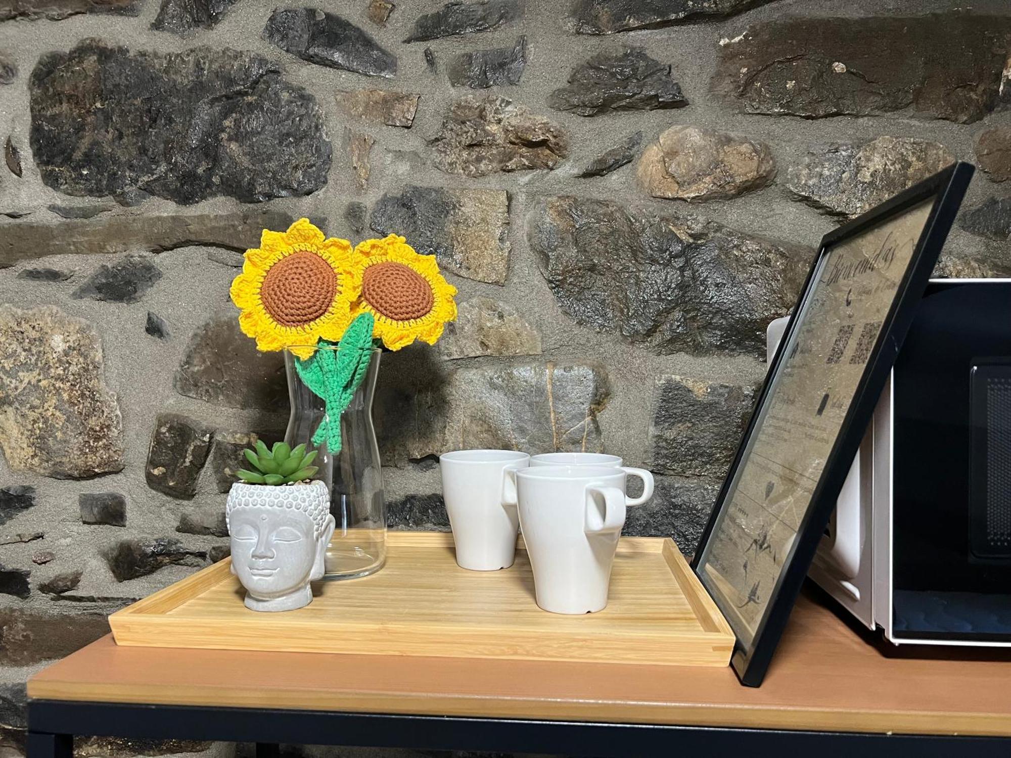 فندق Casa Girasol بييسكاس المظهر الخارجي الصورة